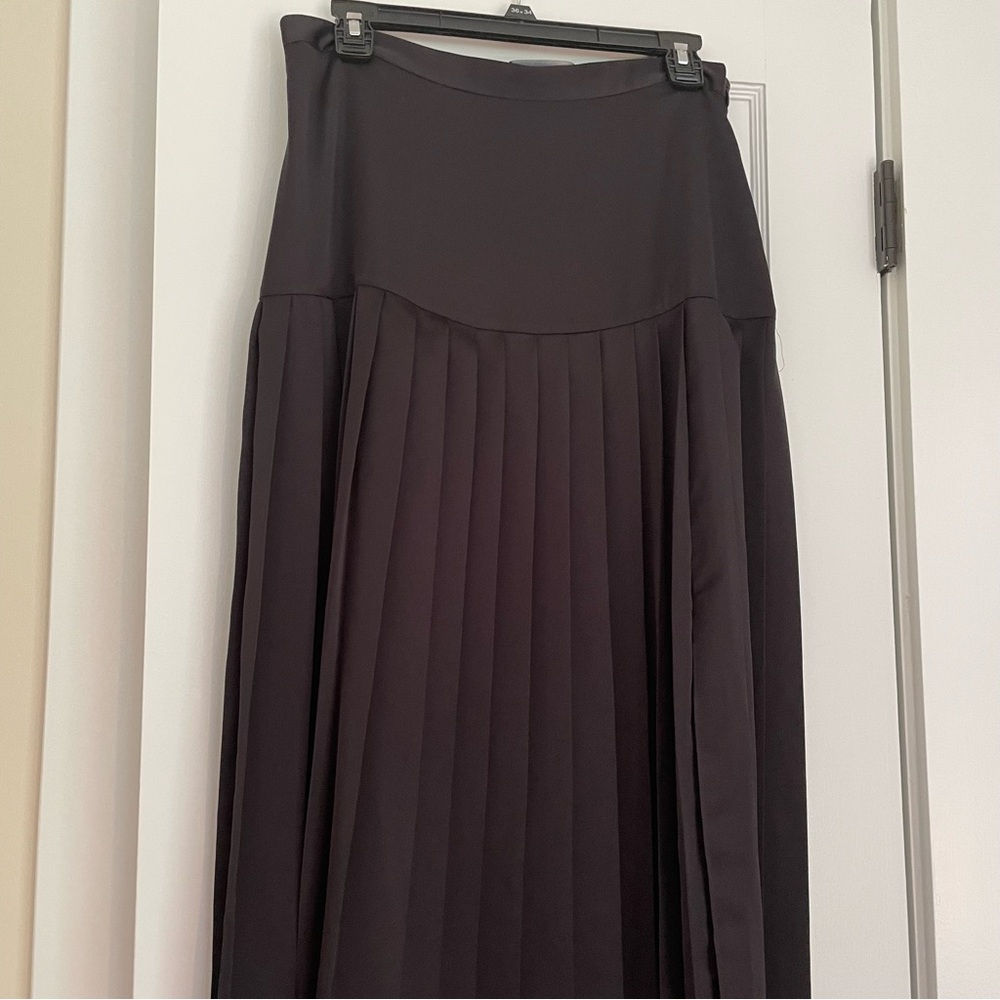 Modern Citizen Drop Waist Pleated Silk Midi Skirt